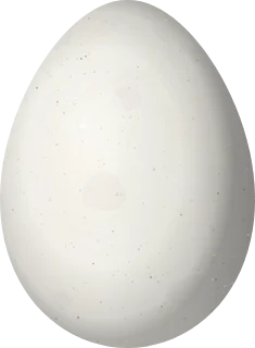 Illustration of a Band-tailed Hornero (Furnarius figulus) egg, 30 × 22 mm