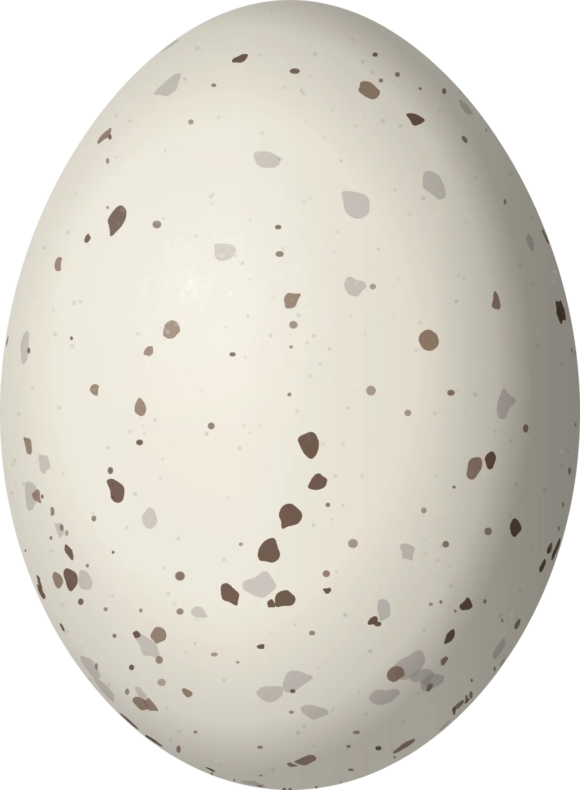 Illustration of a Band-tailed Nighthawk (Nyctiprogne leucopyga) egg, 27.2 × 20 mm