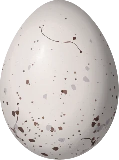 Illustration of a Band-tailed Sierra Finch (Rhopospina alaudina) egg, 21.4 × 15.9 mm