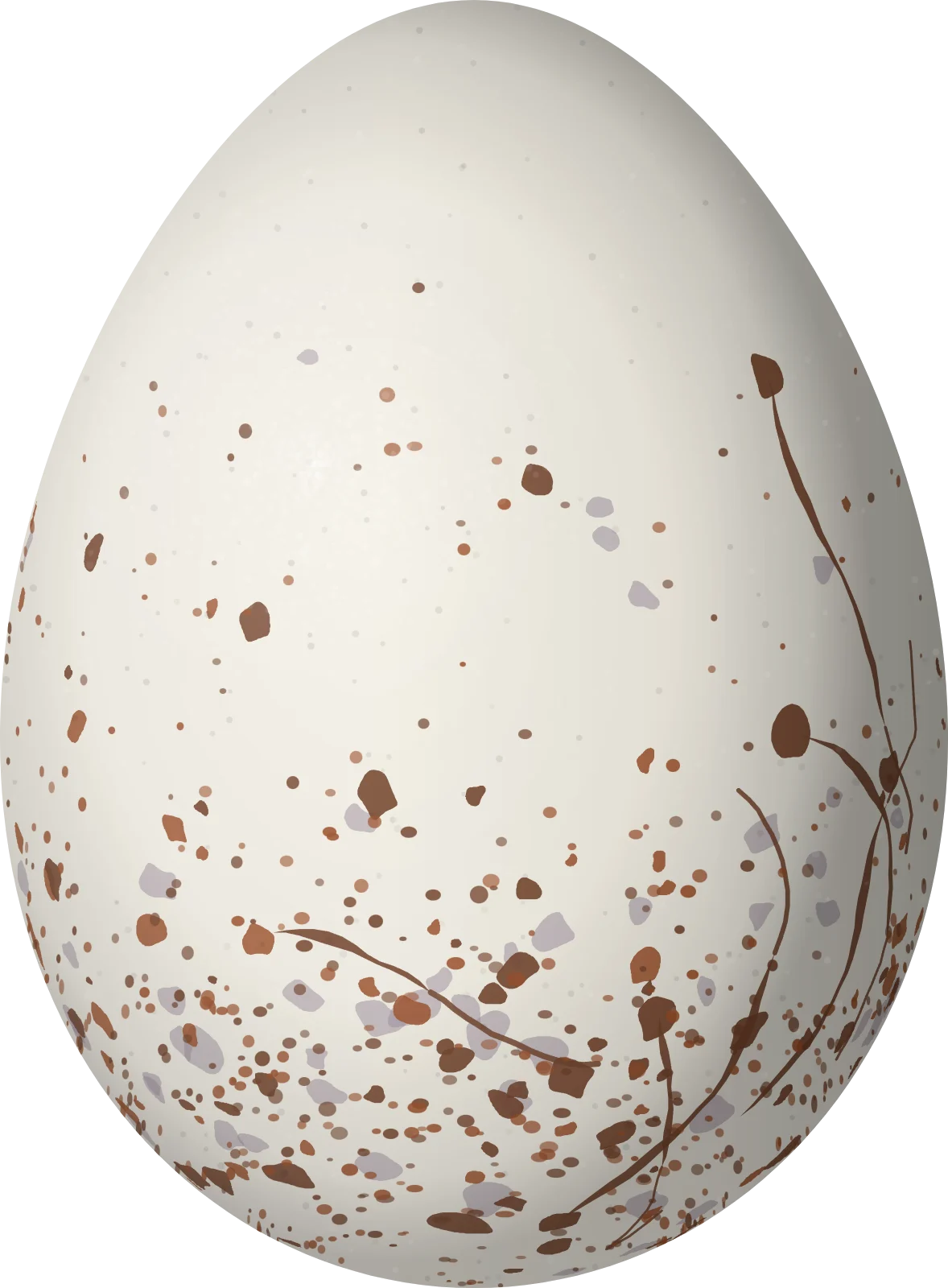 Illustration of a Banded Antbird (Dichrozona cincta) egg, 22 × 16.2 mm