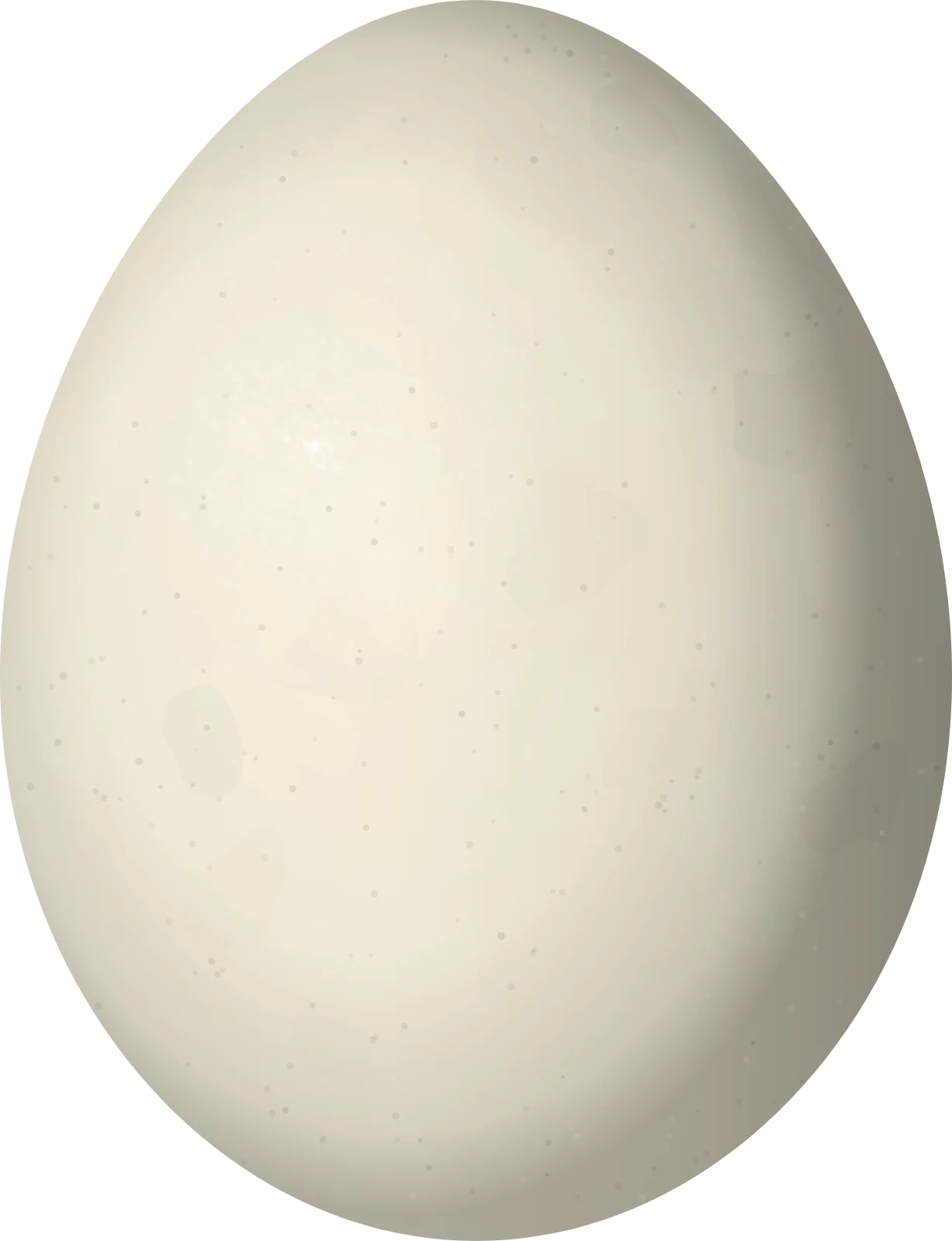Illustration of a Banded Ground Cuckoo (Neomorphus radiolosus) egg, 31 × 23.8 mm