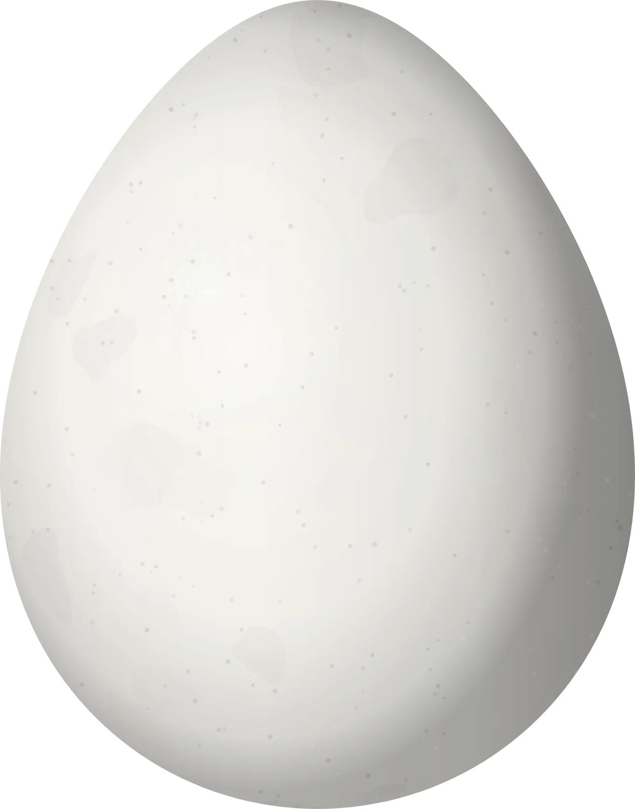 Illustration of a Banded Quail (Philortyx fasciatus) egg, 30.2 × 23.7 mm