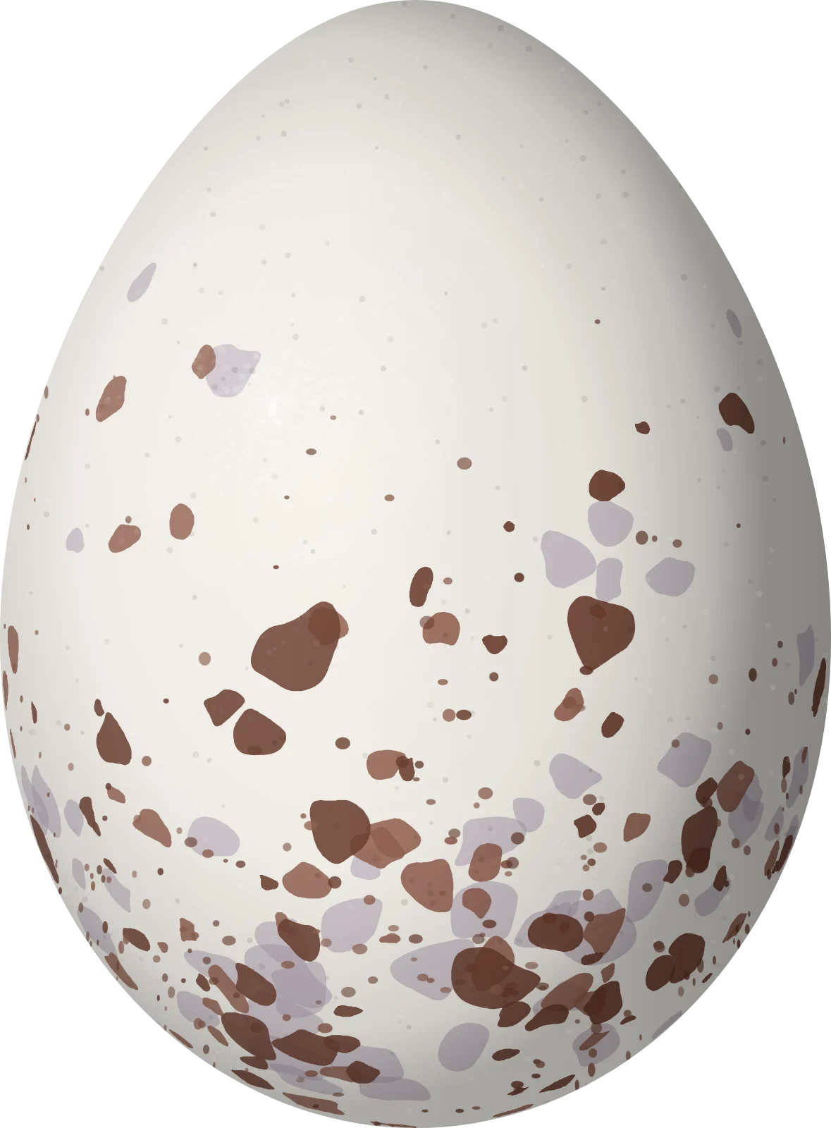 Illustration of a Barbados Bullfinch (Loxigilla barbadensis) egg, 20.5 × 15.1 mm