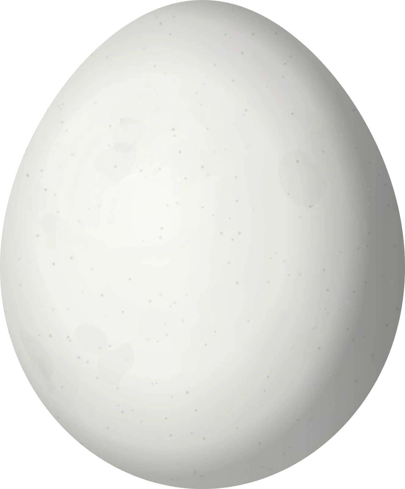 Illustration of a Barred Hawk (Morphnarchus princeps) egg, 58.9 × 48.9 mm