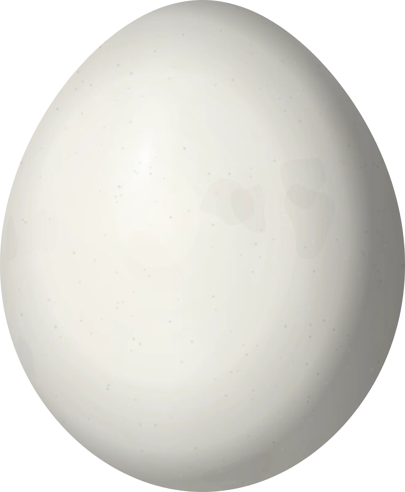 Illustration of a Barred Puffbird (Nystalus radiatus) egg, 26.6 × 21.9 mm
