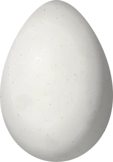 Illustration of a Baudo Guan (Penelope ortoni) egg, 70.5 × 49.2 mm