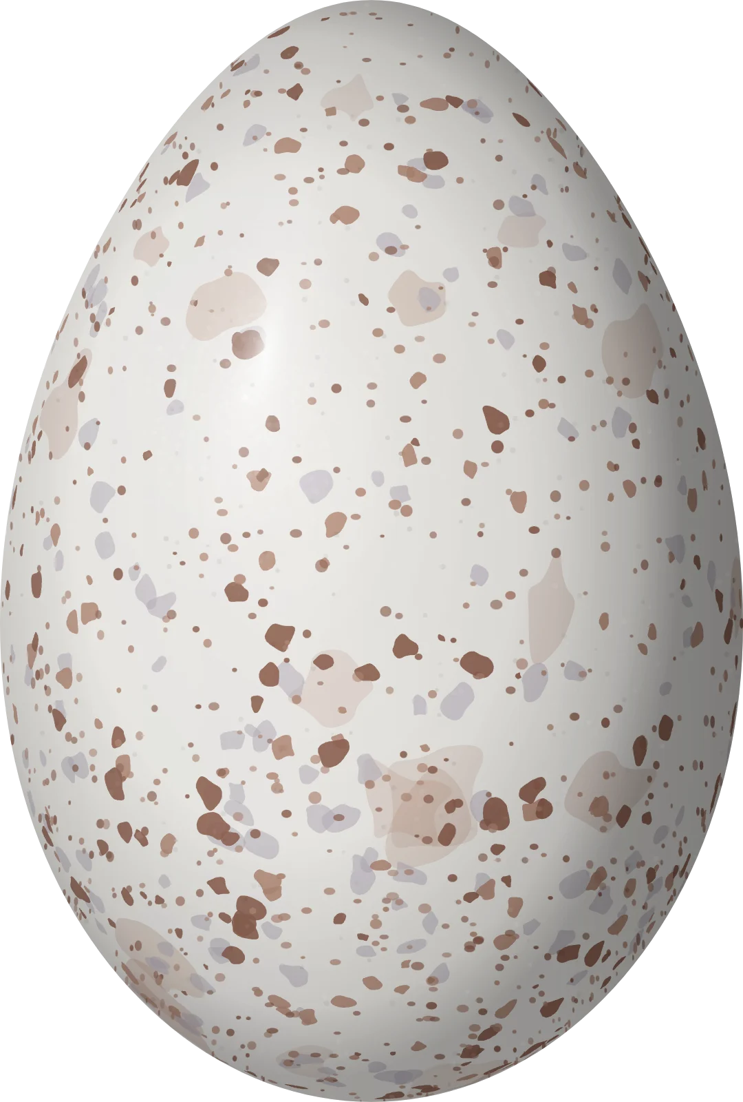 Illustration of a Baudo Oropendola (Psarocolius cassini) egg, 36 × 24.3 mm