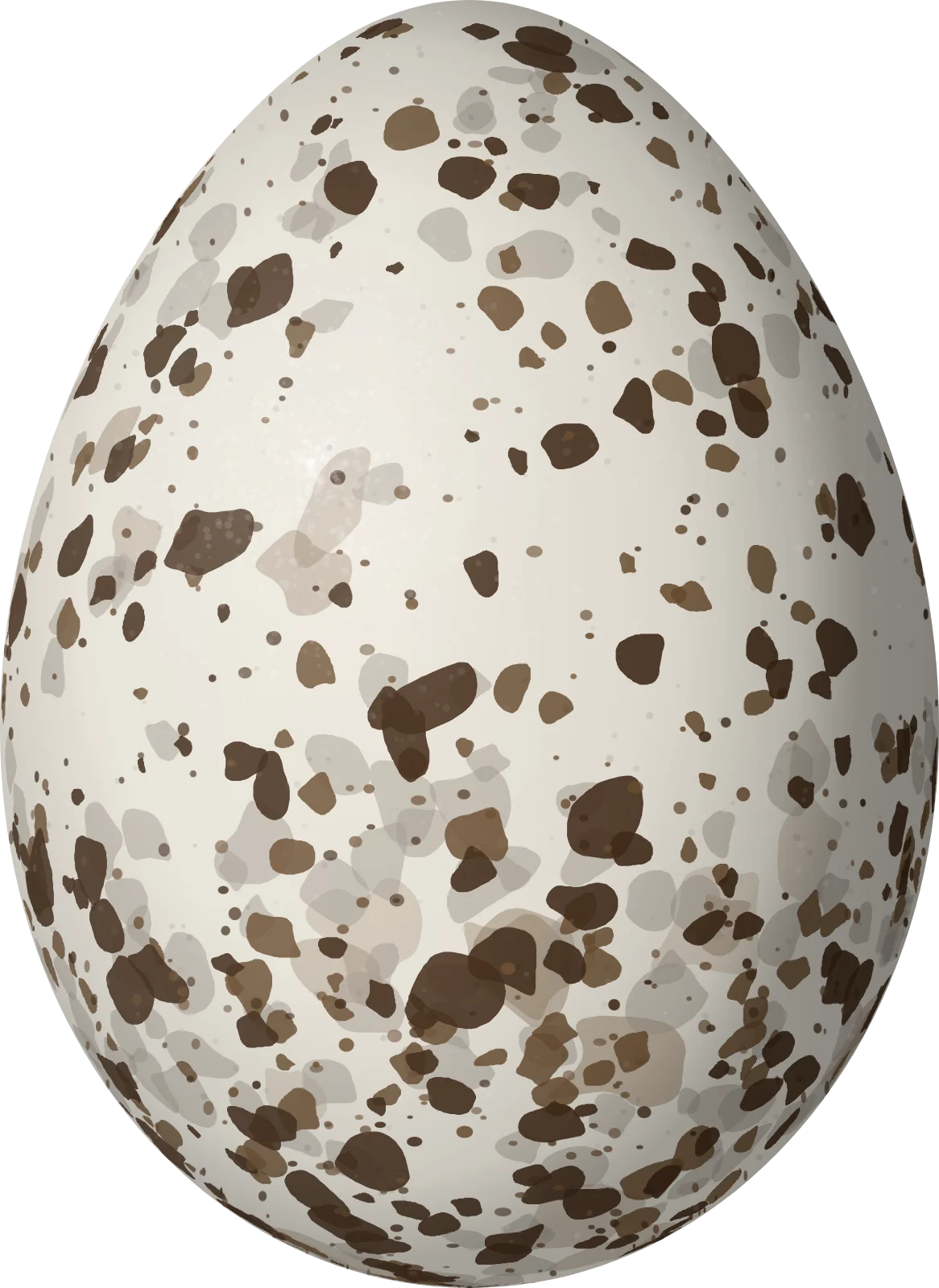 Illustration of a Bay-breasted Warbler (Setophaga castanea) egg, 17.7 × 12.9 mm