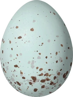 Illustration of a Bay-chested Warbling Finch (Castanozoster thoracicus) egg, 17.7 × 13.2 mm
