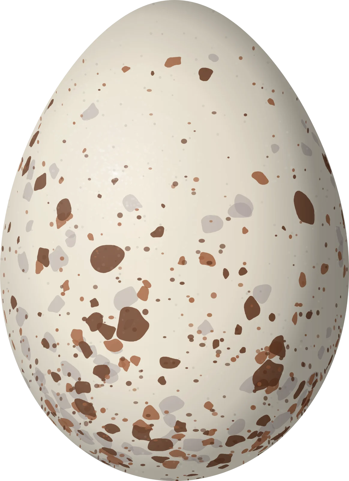 Illustration of a Bay-crowned Brushfinch (Atlapetes seebohmi) egg, 23.8 × 17.3 mm