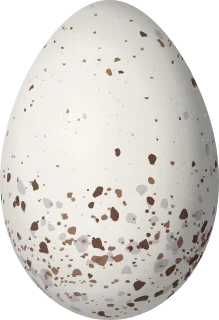 Illustration of a Bay-headed Tanager (Tangara gyrola) egg, 20.2 × 13.8 mm