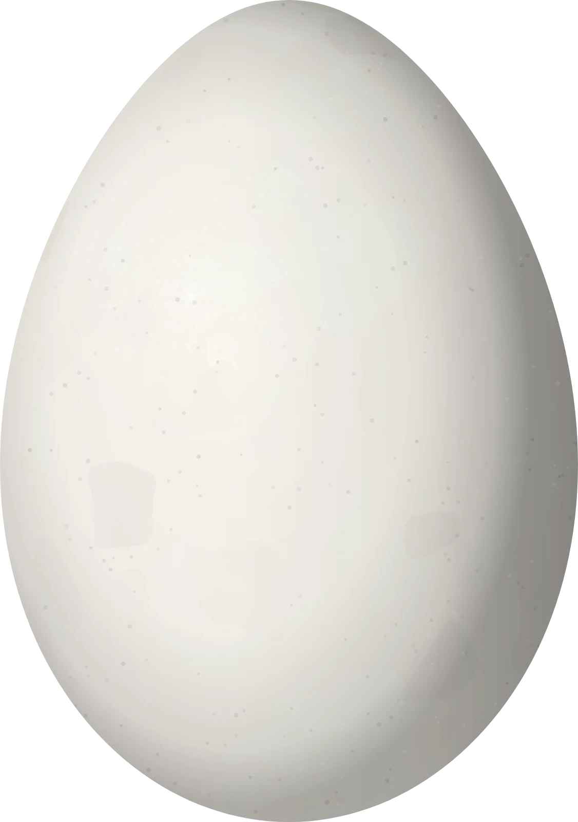 Illustration of a Bay-ringed Tyrannulet (Phylloscartes sylviolus) egg, 18.9 × 13.3 mm