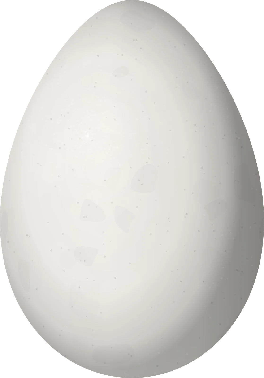 Illustration of a Bearded Guan (Penelope barbata) egg, 70.5 × 49.2 mm