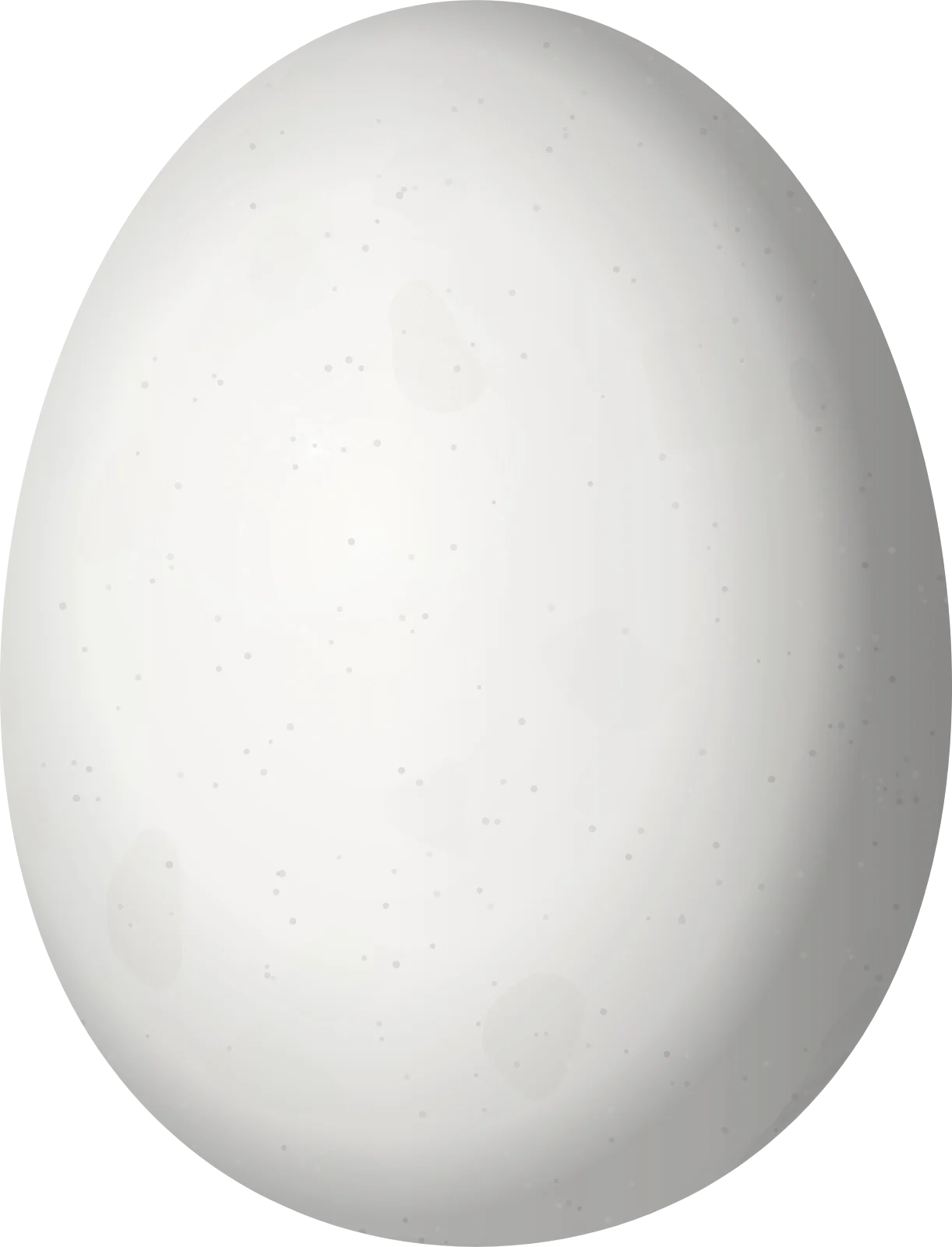 Illustration of a Beautiful Sheartail (Calothorax pulcher) egg, 12.7 × 9.7 mm