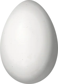 Illustration of a Beautiful Treerunner (Margarornis bellulus) egg, 19 × 13.1 mm
