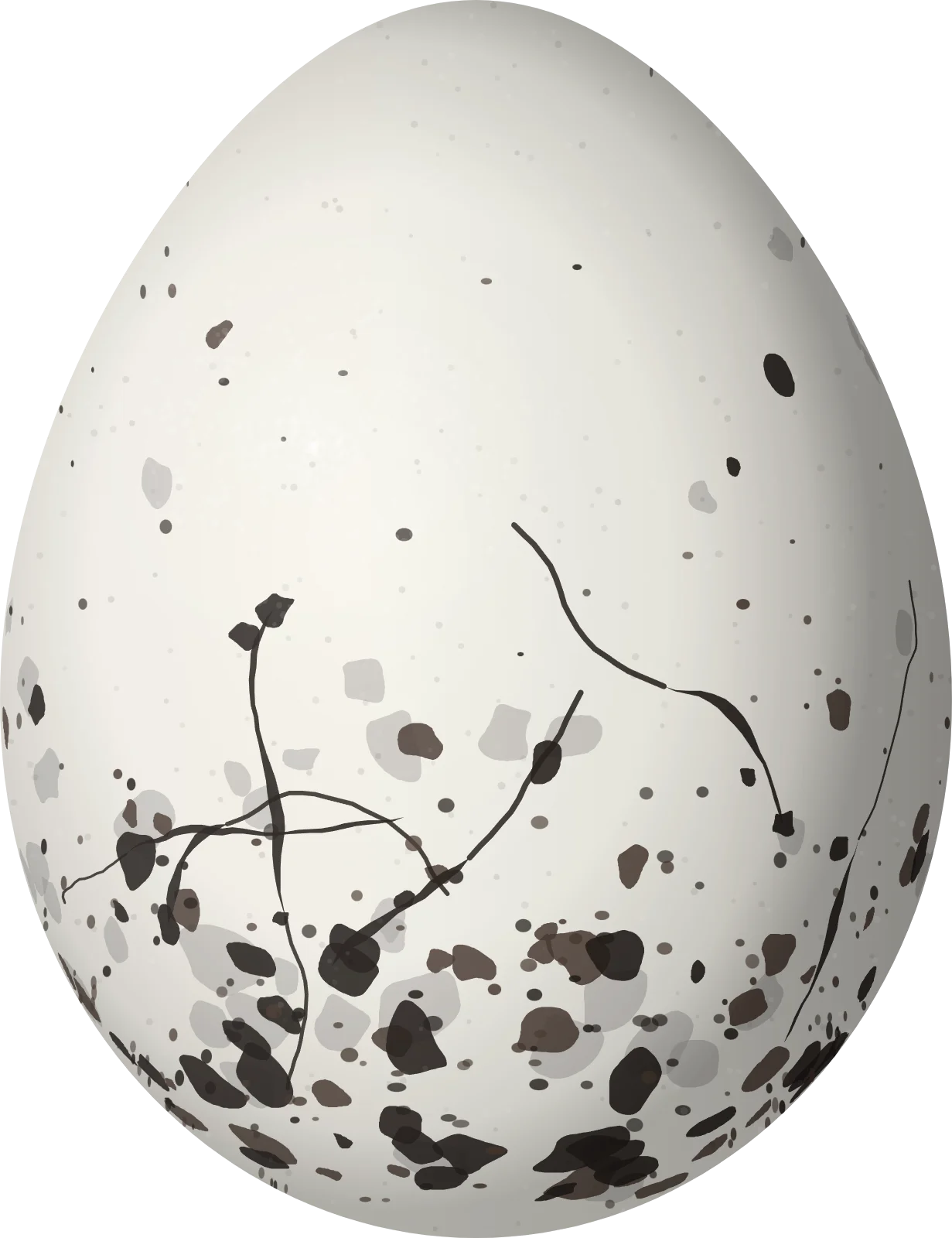 Illustration of a Belding's Yellowthroat (Geothlypis beldingi) egg, 19.5 × 15 mm
