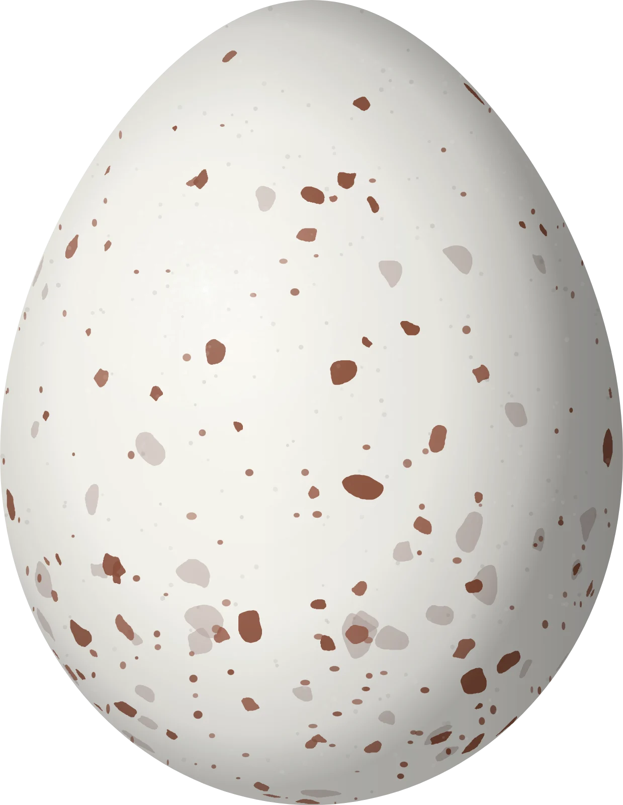 Illustration of a Bewick's Wren (Thryomanes bewickii) egg, 16.4 × 12.7 mm