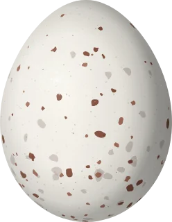 Bewick's Wren egg, 16.4 × 12.7 mm