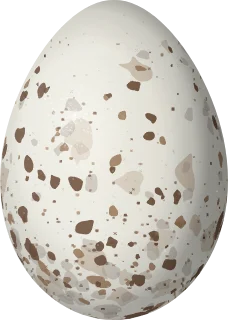 Illustration of a Bicolored Conebill (Conirostrum bicolor) egg, 17.8 × 12.7 mm