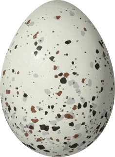 Illustration of a Black-and-chestnut Warbling Finch (Poospiza whitii) egg, 19 × 14 mm