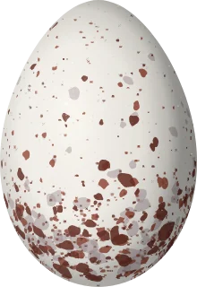Illustration of a Black-and-gold Tanager (Bangsia melanochlamys) egg, 26.5 × 18.2 mm