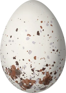 Illustration of a Black-and-tawny Seedeater (Sporophila nigrorufa) egg, 17.4 × 12.5 mm
