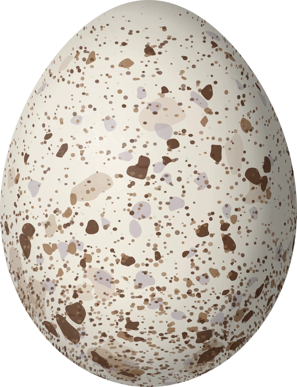 Illustration of a Black-and-white Hawk-Eagle (Spizaetus melanoleucus) egg, 62.3 × 47.75 mm
