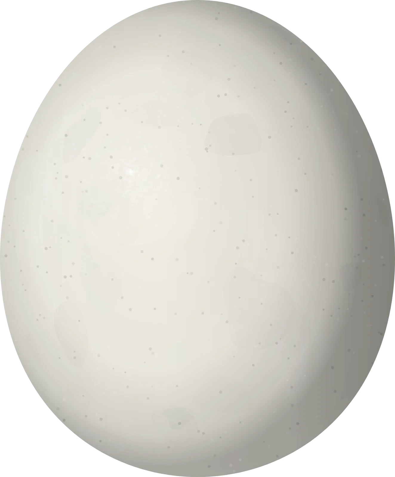 Illustration of a Black-and-white Owl (Strix nigrolineata) egg, 46.4 × 38.4 mm