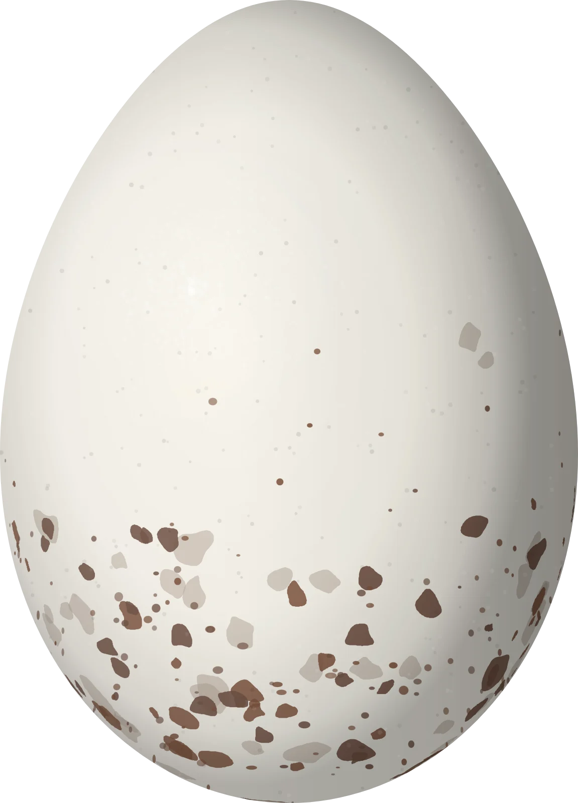 Illustration of a Black-and-white Tody-Flycatcher (Poecilotriccus capitalis) egg, 17.1 × 12.3 mm