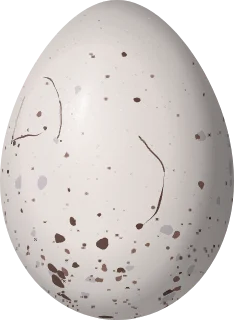 Illustration of a Black-and-yellow Tanager (Chrysothlypis chrysomelas) egg, 20.5 × 15 mm