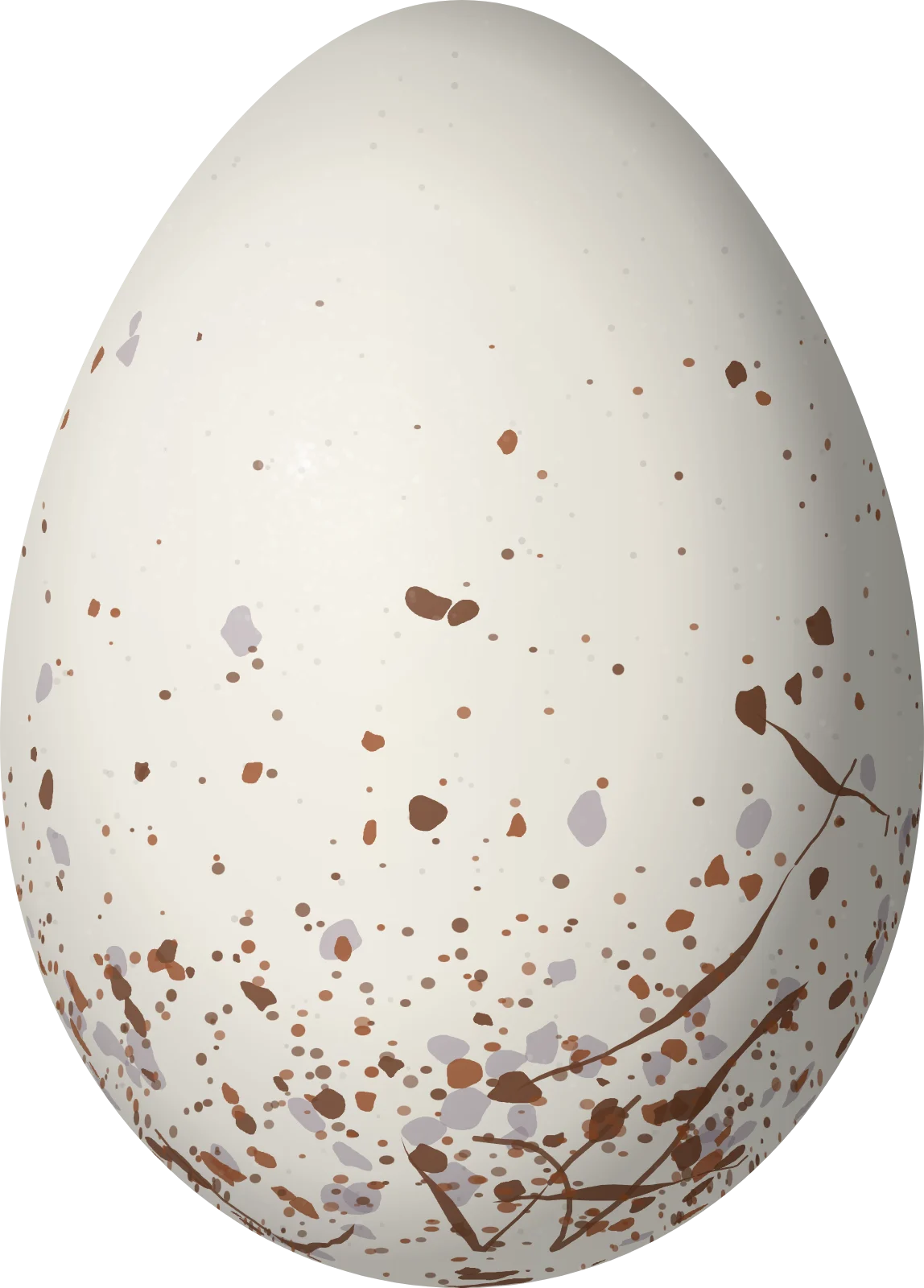 Illustration of a Black-backed Antshrike (Thamnophilus melanonotus) egg, 23 × 16.5 mm