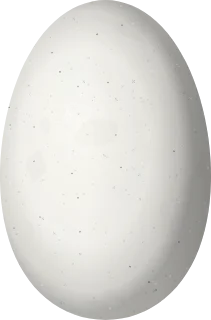 Illustration of a Black-backed Thornbill (Ramphomicron dorsale) egg, 13.5 × 8.9 mm
