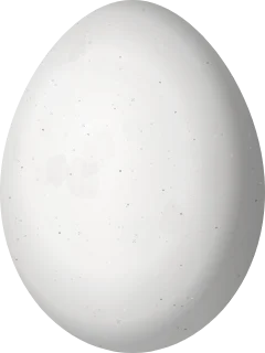 Illustration of a Black-backed Woodpecker (Picoides arcticus) egg, 24.38 × 18.29 mm