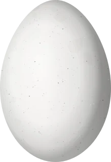Illustration of a Black-banded Crake (Rufirallus fasciatus) egg, 37.33 × 25.52 mm