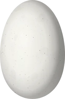 Illustration of a Black-bellied Hummingbird (Eupherusa nigriventris) egg, 13.5 × 8.9 mm