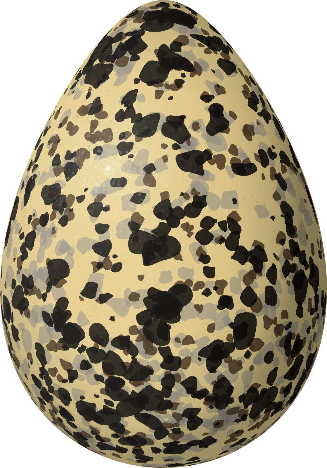 Illustration of a Black-bellied Plover (Pluvialis squatarola) egg, 52.2 × 36.5 mm