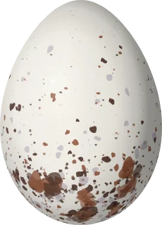 Illustration of a Black-bellied Seedeater (Sporophila melanogaster) egg, 17.4 × 12.5 mm