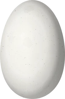 Illustration of a Black-bellied Thorntail (Discosura langsdorffi) egg, 13.5 × 8.9 mm