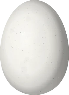 Black-bellied Whistling-Duck egg, 52.3 × 38.3 mm