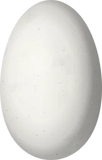 Illustration of a Black-breasted Hillstar (Oreotrochilus melanogaster) egg, 16.2 × 10.3 mm