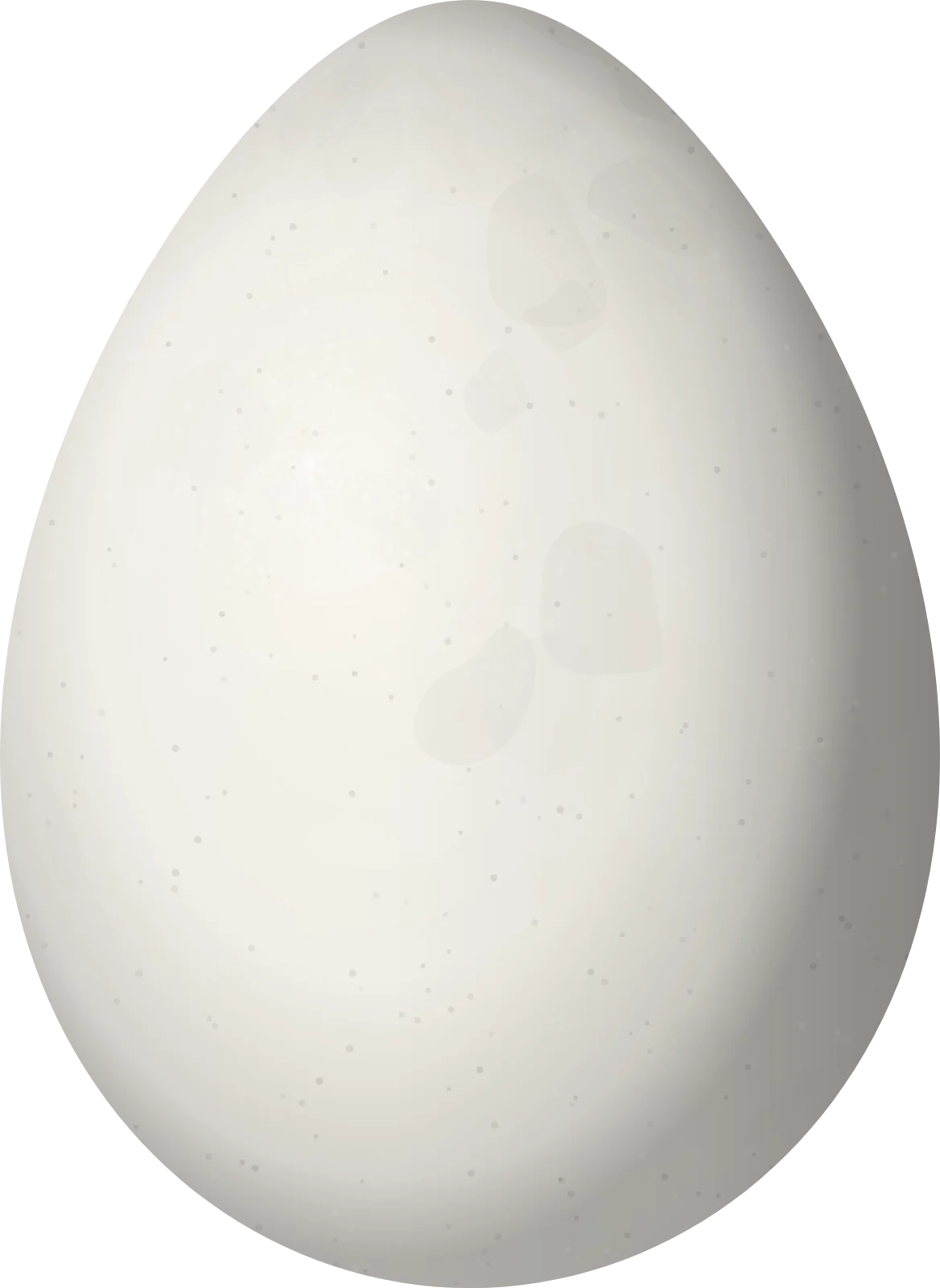 Illustration of a Black-breasted Wood Quail (Odontophorus leucolaemus) egg, 38.5 × 28.1 mm