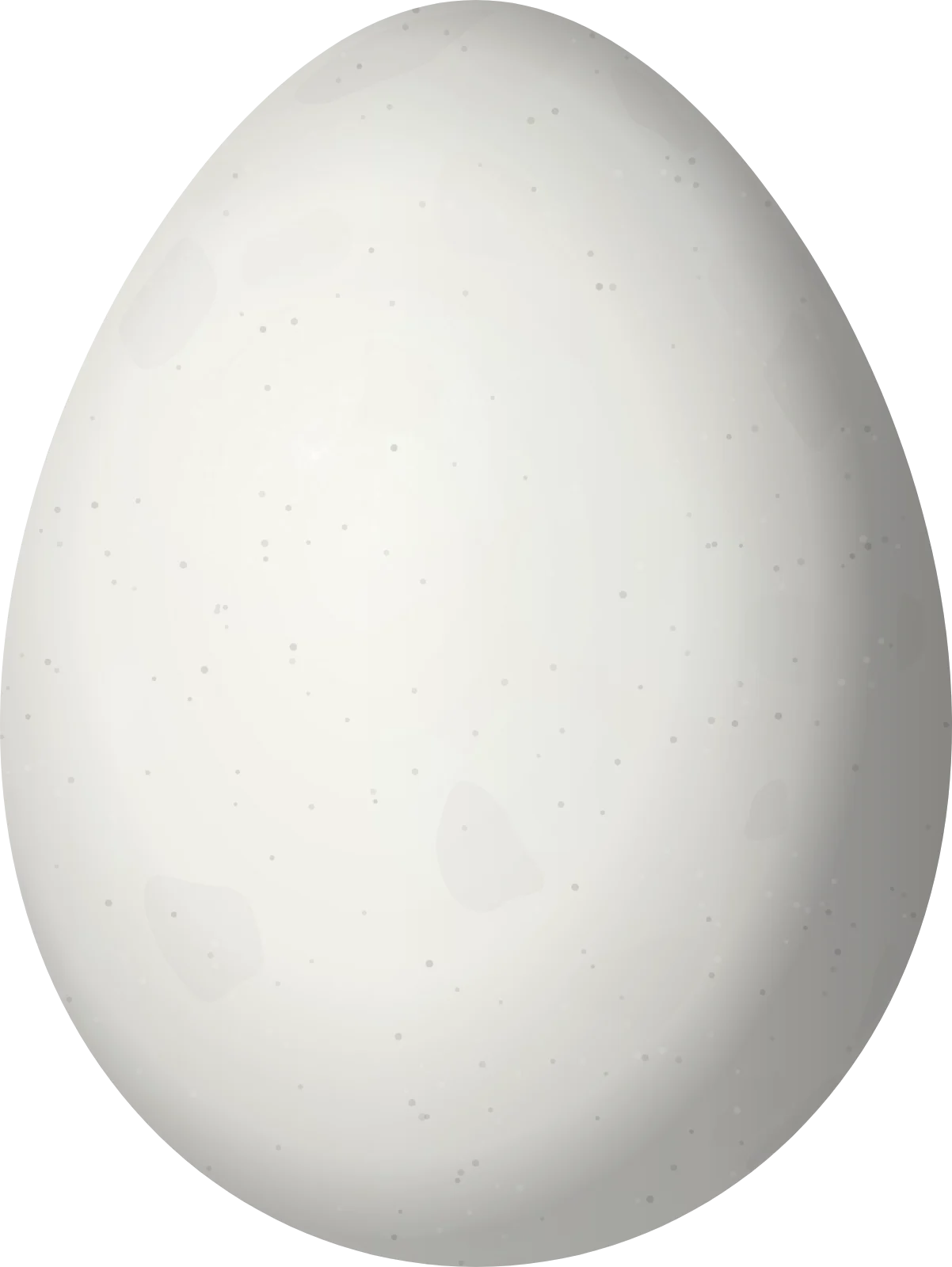 Illustration of a Black-capped Foliage-gleaner (Philydor atricapillus) egg, 22.9 × 17.2 mm