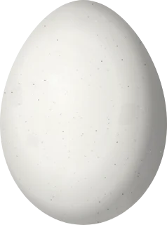 Black-capped Vireo egg, 17.6 × 13.1 mm