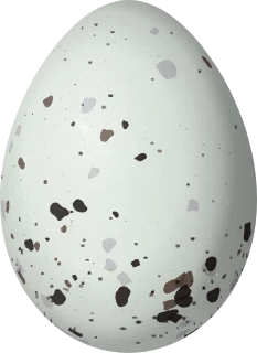Illustration of a Black-capped Warbling Finch (Microspingus melanoleucus) egg, 18.8 × 13.7 mm