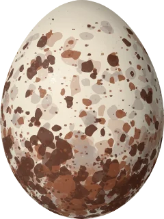 Illustration of a Black Caracara (Daptrius ater) egg, 53.5 × 40.2 mm