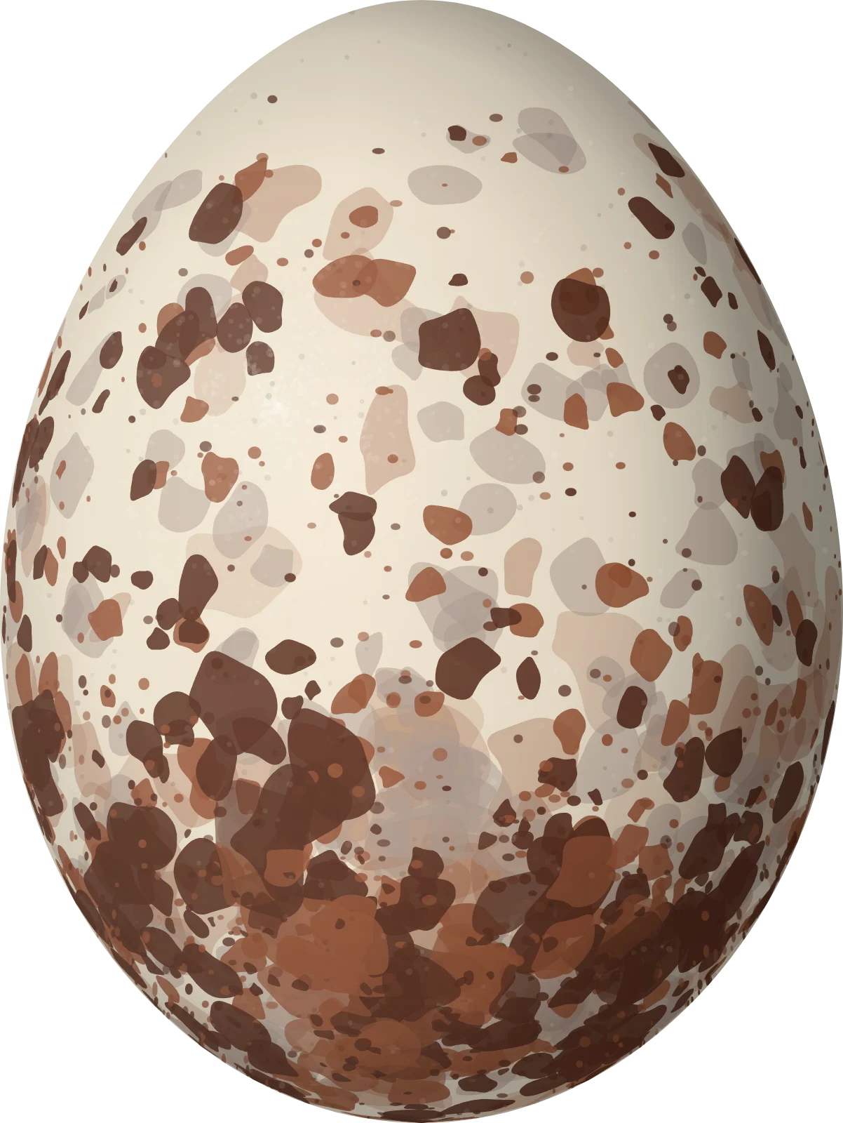 Illustration of a Black Caracara (Daptrius ater) egg, 53.5 × 40.2 mm