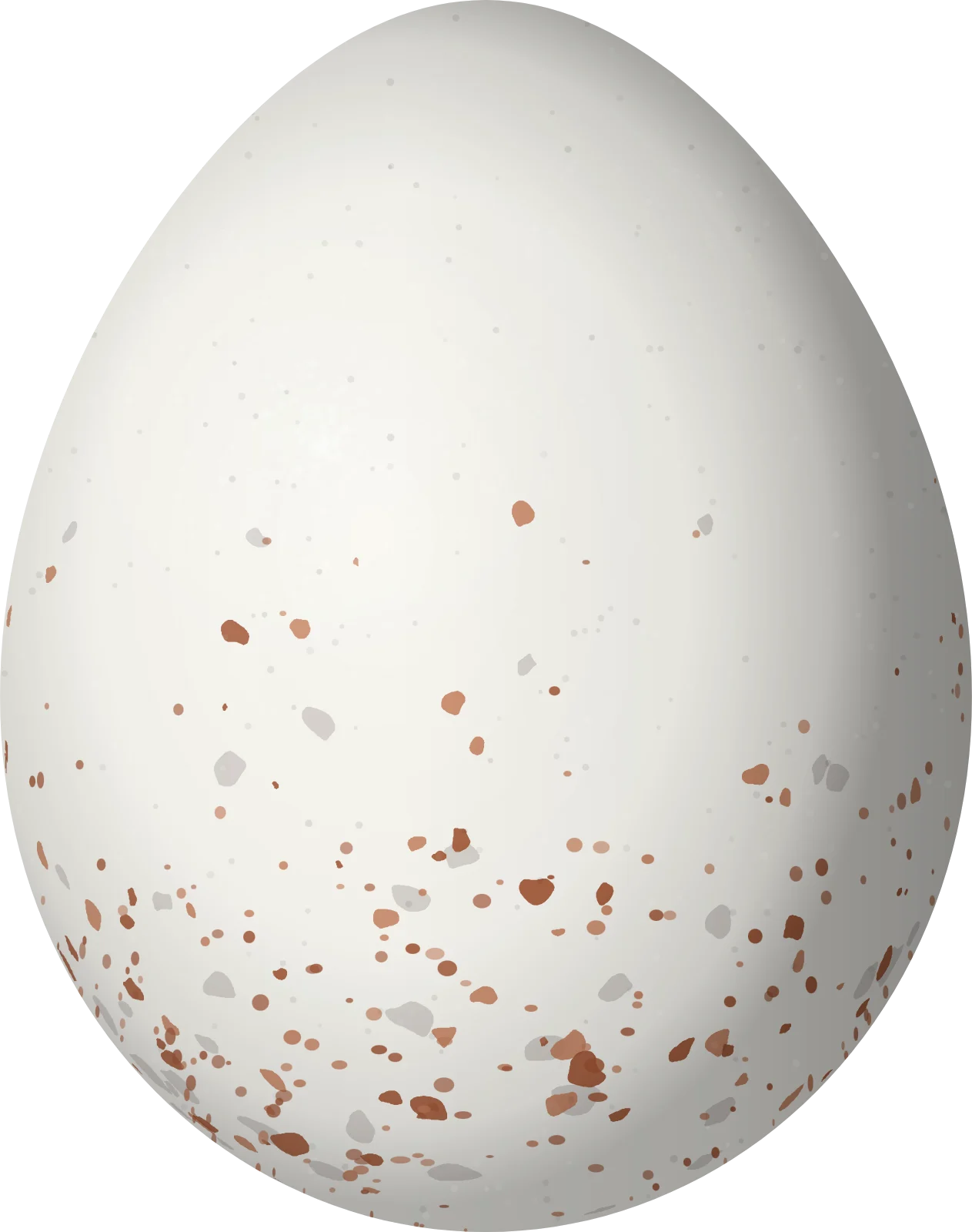 Illustration of a Black-cheeked Warbler (Basileuterus melanogenys) egg, 19 × 15 mm