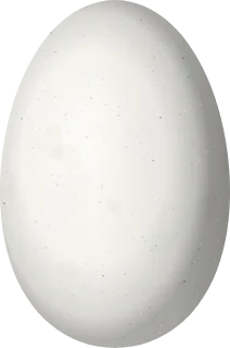 Illustration of a Black-chinned Hummingbird (Archilochus alexandri) egg, 12.51 × 8.3 mm