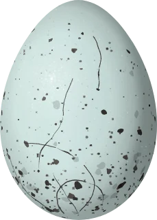 Illustration of a Black-cowled Saltator (Saltator nigriceps) egg, 26.5 × 19 mm