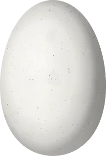 Illustration of a Black-crested Coquette (Lophornis helenae) egg, 11.4 × 7.8 mm